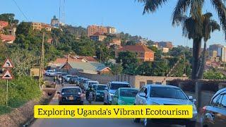 Exploring Kampala: A Nature Lover's Paradise/June 26, 2024