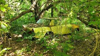 Studebaker Lark under an Angel Oak in South Carolina Woods