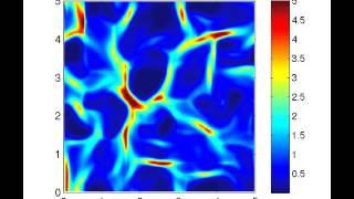 Computational model of cellular network formation in mesenchymal cells