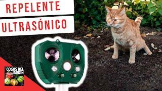 ULTRASONIC ANIMAL REPELLENT. WILL IT WORK ON CAT?