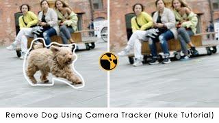 nuke prep tutorial | nuke camera tracking tutorial | remove dog | nuke cleanup tutorial