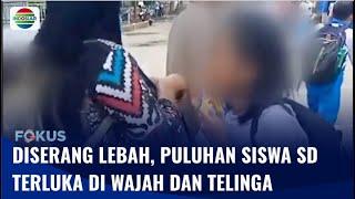 Puluhan Siswa SD di Makassar Kesakitan Diserang Lebah, Wajah dan Telinga Terluka | Fokus