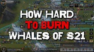 How hard is it to burn the whales of S21? | Warpath