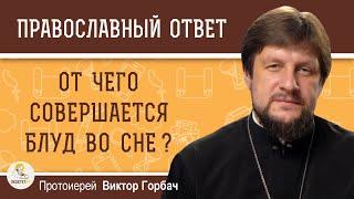 ОТ ЧЕГО СОВЕРШАЕТСЯ БЛУД ВО СНЕ ?  Протоиерей Виктор Горбач