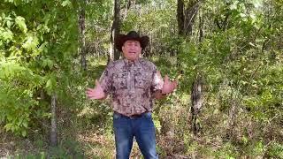 Tuesday Tip 3, Texas Veteran Land Board, Texas land, Texan Team, Travis Hunt, Texas hunting land