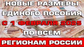 Новые размеры Единого пособия с 1 февраля 2025 по всем регионам России