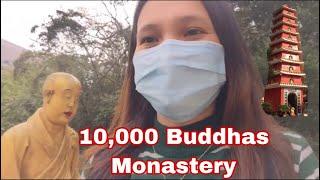 How to get 10,000 Buddhas Monastery in Hongkong/#Tenthousandbuddhas #hongkong 