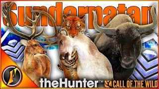 Spending a Full Day in Multiplayer! Diamonds + Rares! | theHunter Call of the Wild