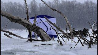 НЕ ЗРЯ РЯДОМ С КОРЯГАМИ ПАЛАТКУ ПОСТАВИЛИ!! Обычная рыбалка, день густо, день пусто))