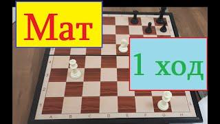 Шахматы - Мат в 1 ход вы не сможете решить