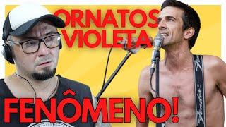 Brazilian musician reacts to the sound of ORNATOS VIOLETA - OUVI DIZER