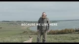 Because We Live Here / Frank Westphal