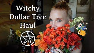 Witchy Dollar Tree Haul for the Witch on a Budget