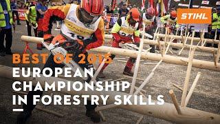 Best of: 2015 European Championship Forestry Skills | STIHL