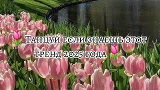 Танцуй если знаешь этот тренд 2025 году