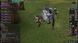 Lineage 2 Raid Boss ownage