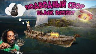 Подводный ФАРМ БДО. Сбор омаров и жемчужин в БДО.ЖЕМЧУГ || КЛЕЙ Black Desert Online