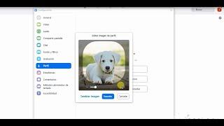 Cambiar o colocar FOTO DE PERFIL en ZOOM en PC