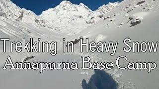 (Day-5)Heavy Snow Trekking - Annapurna Base Camp, Nepal