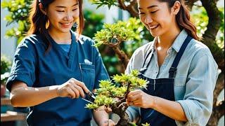 Discover the art of bonsai, a creative and exciting journey of finding and creating bonsai trees