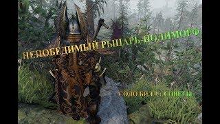 Divinity Original Sin 2: Definitive Edition. Рыцарь-полиморф. Соло билд + советы