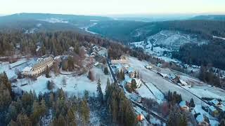 Cinematic Drone Shots  Black Forest