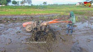 Mumpung Tanahnya Enak Traktor Sawah Digeber Gas Kencang Garu Lahan