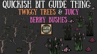 Don't Starve Together Quick Bit: Twiggy Trees & Juicy Berry Bushes