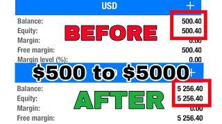 $500 to $5000 today trade XAU/USD Beginners strategy