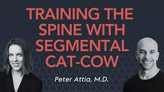 How and why to practice the segmental cat cow exercise | Peter Attia