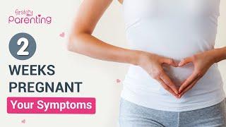 2 Weeks Pregnancy Symptoms - Know the Very Early Signs of Pregnancy