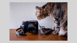 Leica Q + FIXED SUMMILUX 28MM F1.7 ASPH (2022)
