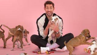 John Krasinski: The Puppy Interview