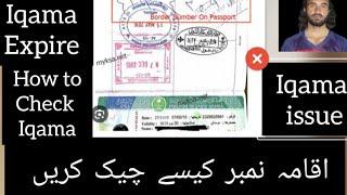 how to check iqama number on passport border number