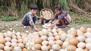 Clear grass around the house. Pick up duck eggs along the stream to sell for money