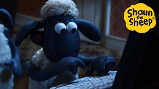 Shaun the Sheep  Computer Genius Shaun - Cartoons for Kids  Full Episodes Compilation [1 hour]