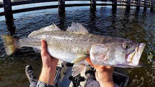 I Witnessed a Massive Trout Migration! (Yak Fishing the River)