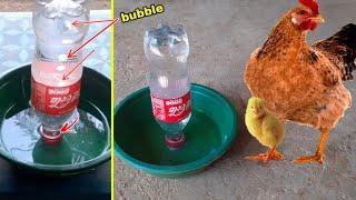 Chicken watering system very simple in the world No. 1