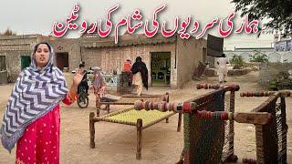 Sardion Main Hamari Shaam Ki Routine | Village Family Vlogs | Pakistan Village Evening | Taiba Vlogs