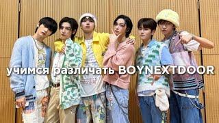 учим k-pop группу BOYNEXTDOOR/учимся различать BOYNEXTDOOR | vetmifi