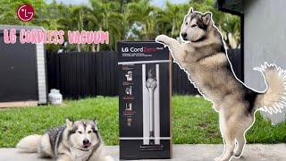 Is the LG CordZero A9 Kompressor the best vacuum for Malamute hair?