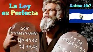 La Ley es Perfecta