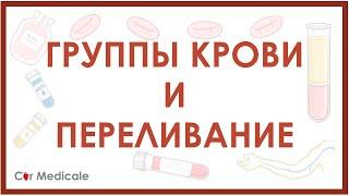 Группы крови и переливание: системы АВ0, резус, гемолитическая реакция - кратко