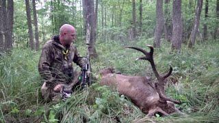 Red stag hunting with Kristoffer Clausen. Episode 10/10