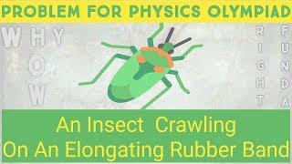 Crawling Ant on rubber band (Problem for Physics Olympiad)