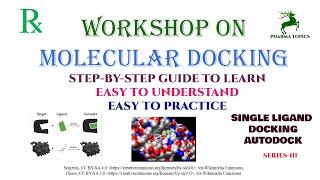 Workshop on Molecular docking - Single ligand docking - Series-3