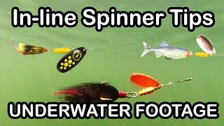 Inline Spinner Fishing Lure Tips and How To Fish Spinners (underwater fishing lures)