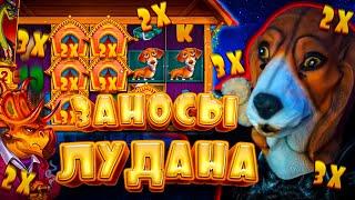 ЗАНОСЫ ЛУДАНА В DOG HOUSE, DINOPOLIS, FRUIT PARTY