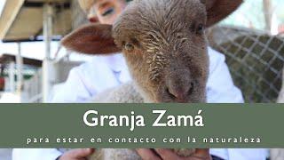 Granja Zamá | un espacio para conectar con la naturaleza