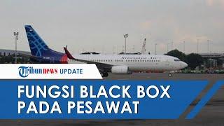 Titik Lokasi Black Box Sriwijaya Air SJ 182 Ditemukan, Apa Fungsi Black Box pada Pesawat?